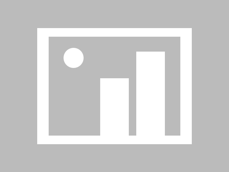 Ward 奋勇达阵，展示强大得分能力，奋勇奋战的意思