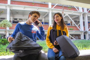 leyu乐鱼在线登录入口-世界青少年攀岩技能大赛在上海盛大举行，众少年展风采，2020年全国青少年攀岩锦标赛