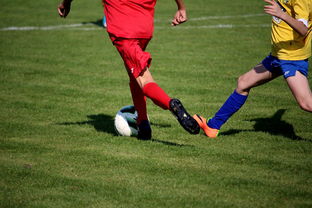 乐鱼vip-篮球训练计划科学制定及执行效果跟踪研究，简述篮球训练计划制定步骤