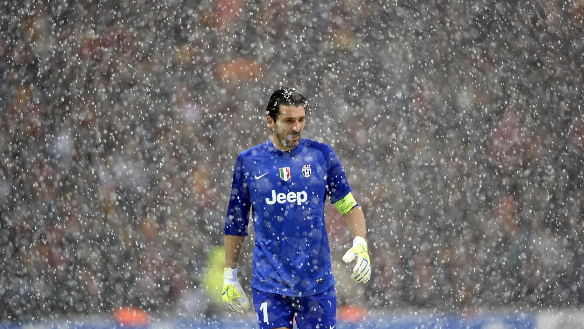 敬请期待：下一个“新星”会是谁？